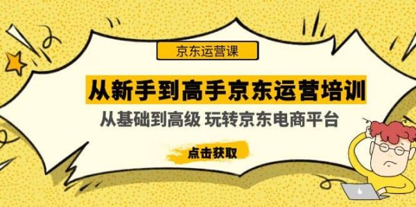 京东电商平台高手运营是如何养成的？【基础到高级全套京东电商养成】