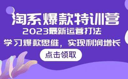 淘系爆款思维特训，让你了解2023年淘系最新运营打法，实现利润大幅增长